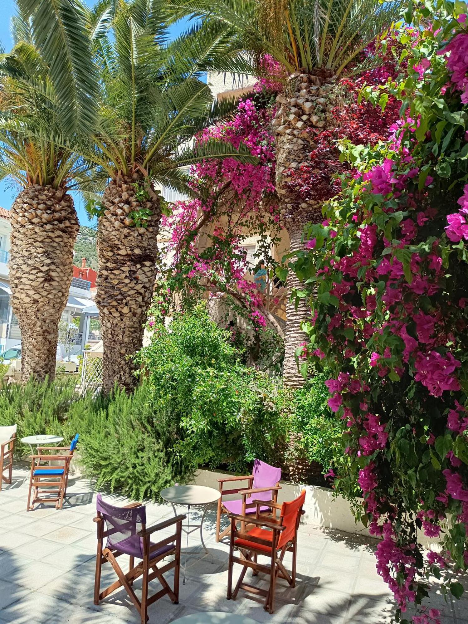 Stella'S Apartments Tolón Dış mekan fotoğraf
